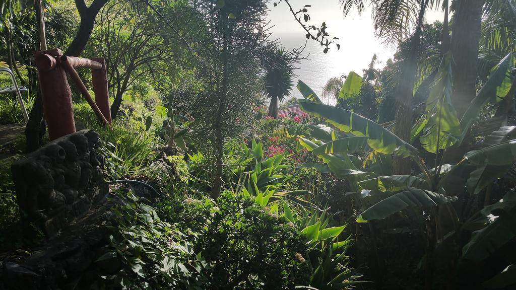 Dazkarizeh73 Villa Ribeira Brava Ngoại thất bức ảnh