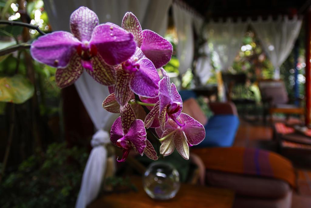 Dazkarizeh73 Villa Ribeira Brava Ngoại thất bức ảnh